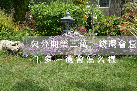 欠分期樂三萬沒錢還會怎么樣(分期樂借了三千多沒還會怎么樣)