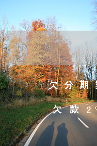 欠分期樂不還的后果嚴(yán)重(分期樂欠款2萬還不起了有什么后果)