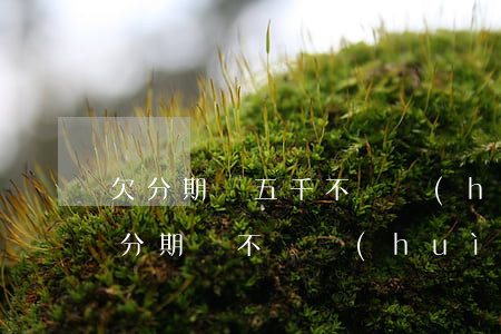 欠分期樂五千不還會(huì)影響征信嗎(分期樂不還會(huì)上征信么)
