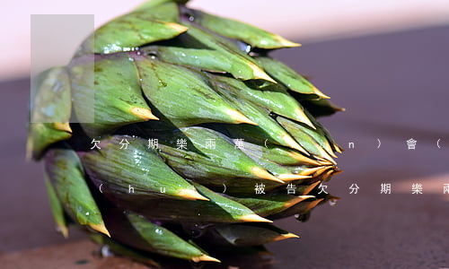 欠分期樂兩萬(wàn)會(huì)不會(huì)被告(欠分期樂兩萬(wàn)會(huì)不會(huì)被告)