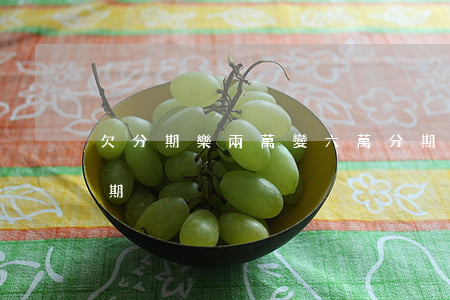欠分期樂兩萬變六萬(分期樂借兩千塊錢分六期)