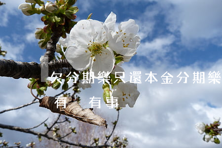 欠分期樂只還本金(分期樂只還本金利息不給有沒有事)