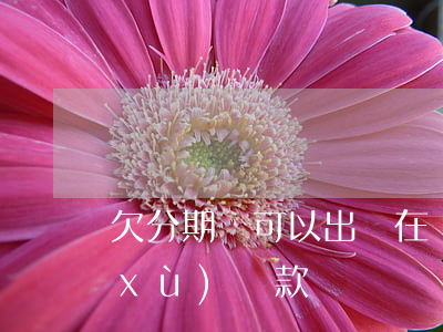 欠分期樂可以出國(在國外分期樂可以繼續(xù)還款嗎)