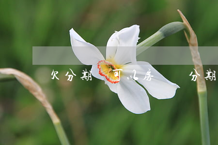 欠分期樂可以房貸嗎(分期樂貸款不還行嗎)