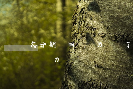 欠分期樂四萬無力償還了(分期樂借了一萬塊錢無力償還)