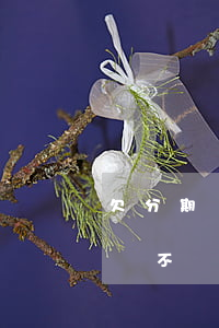 欠分期樂坐牢(欠分期樂2000塊錢,還不起會不會坐牢)