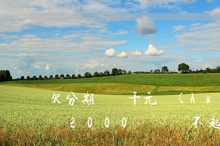 欠分期樂幾千元會(huì)坐牢嗎(欠分期樂2000塊錢,還不起會(huì)不會(huì)坐牢)