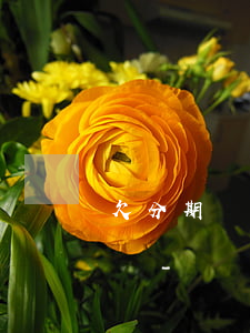 欠分期樂幾百元不還的親身經(jīng)歷-