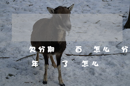 欠分期樂幾百塊怎么辦(分期樂欠幾千塊錢一年沒還了會怎么樣)