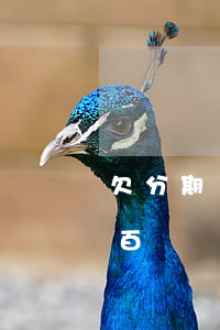 欠分期樂幾百塊錢不還會怎么樣-分期樂幾百塊還不上會上失信人名單嗎