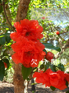 欠分期樂欠了兩年(有沒有欠分期樂的)