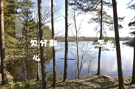欠分期樂沒錢還怎么辦(實在沒錢還分期樂怎么辦)