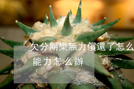 欠分期樂無力償還了怎么辦(分期樂沒有償還能力怎么辦)