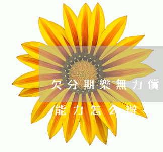 欠分期樂無力償還怎么處理(分期樂沒有償還能力怎么辦)