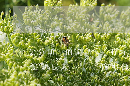 欠分期樂的逾期會(huì)坐牢嗎(分期樂逾期被起訴還了逾期部分行不行?)