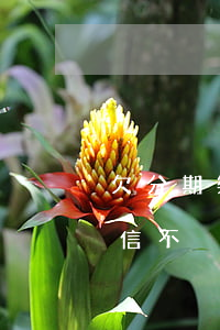 欠分期樂的錢不還上征信嗎(分期樂借錢上征信不)