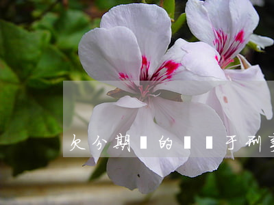 欠分期樂的錢屬于刑事案件嗎(分期樂判刑)