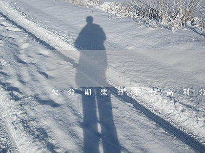 欠分期樂算不算高利(分期樂算高利息嗎)