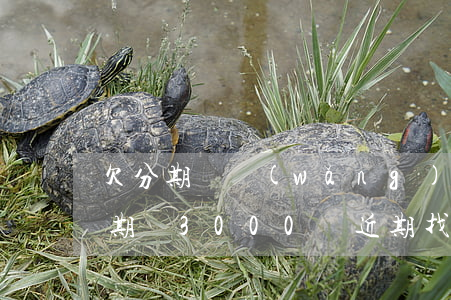 欠分期樂網(wǎng)貸會找上門嗎(欠分期樂3000說近期找上門這是真的嗎)