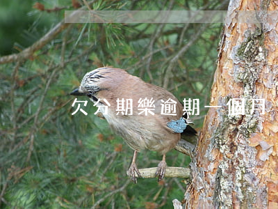欠分期樂逾期一個月