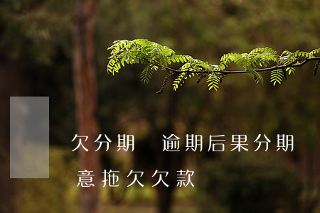 欠分期樂逾期后果(分期樂逾期久了,說什么惡意拖欠欠款)