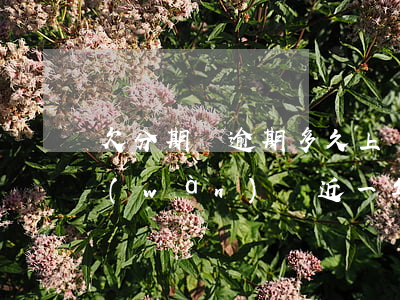 欠分期樂逾期多久上門催收(分期樂欠了兩萬(wàn)將近一年催收說(shuō)要上門)