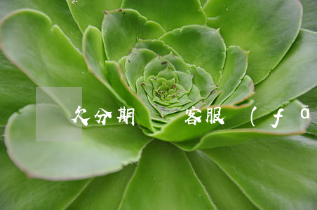 欠分期樂錢客服發(fā)信息給家人
