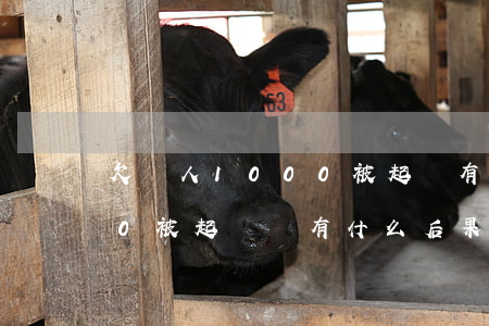 欠別人1000被起訴有什么后果(欠2000被起訴會有什么后果)