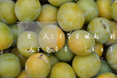欠別人1500被起訴的后果(欠個(gè)人5000會(huì)不會(huì)被起訴)