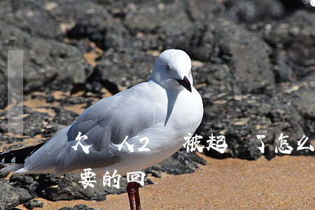 欠別人2萬被起訴了怎么辦(別人欠兩萬起訴要的回來嗎)
