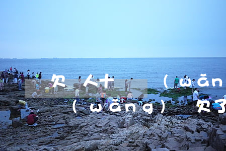 欠別人十幾萬網(wǎng)貸不還怎么辦(網(wǎng)貸欠了十萬還不上怎么辦)