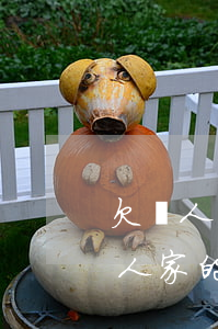 欠別人錢實(shí)在沒辦法還怎么辦(欠人家的錢現(xiàn)在沒辦法還怎么辦)
