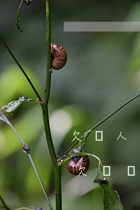 欠別人錢法院會(huì)扣借唄還嗎(借唄欠錢會(huì)坐牢嗎)