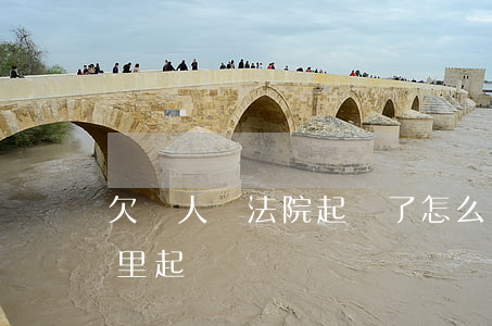 欠別人錢法院起訴了怎么還(別人欠我錢去哪里起訴)