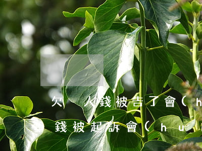 欠別人錢被告了會(huì)坐牢嗎(欠人家錢被起訴會(huì)坐牢嗎)