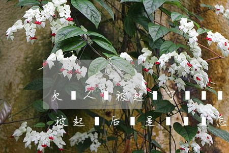 欠別人錢被起訴了沒錢還會怎么樣(別人欠錢被起訴后還是沒錢還怎么辦)