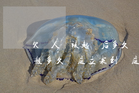 欠別人錢被起訴后多久時間開庭(欠錢起訴一般多久開庭立案到開庭需要多久)