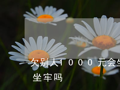 欠别人1000元会坐牢吗(欠款一百多万要坐牢吗)