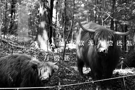 欠别人的货款无力偿还怎么办（欠别人的货款无力偿还）