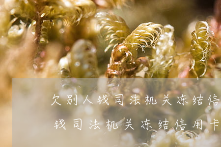 欠别人钱司法机关冻结信用卡咋办-欠别人钱司法机关冻结信用卡咋办呢