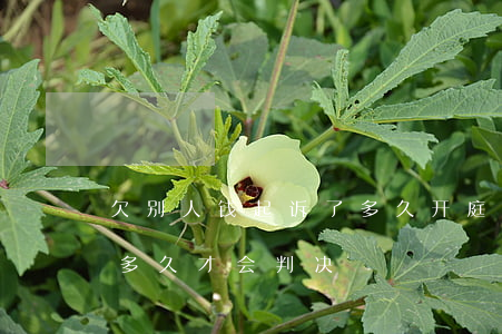 欠别人钱起诉了多久开庭(我欠人钱被起诉了多久才会判决)
