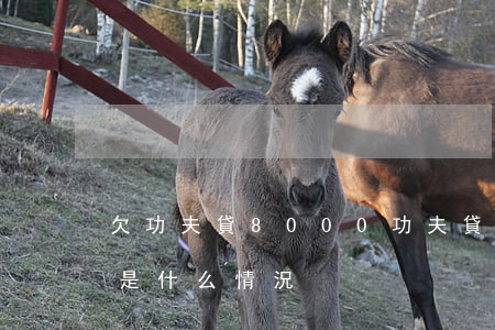 欠功夫貸8000(功夫貸現(xiàn)在是什么情況)
