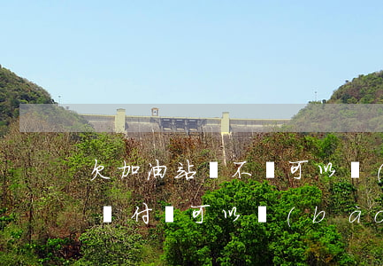 欠加油站錢不給可以報(bào)警嗎(加油沒付錢可以報(bào)警嗎)