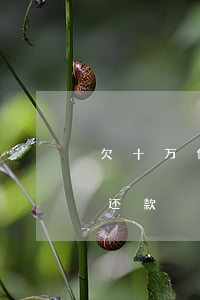 欠十万信用卡想自首(欠信用卡十万如何合理还款)
