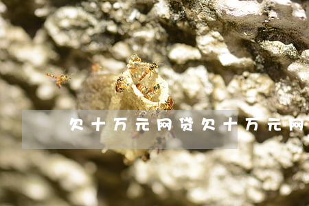 欠十万元网贷(欠十万元网贷)