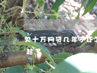 欠十万网贷几年不还怎样(欠十多万网贷还不起了)