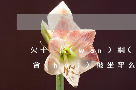 欠十二萬(wàn)網(wǎng)貸不還會(huì)被坐牢么(欠十二萬(wàn)網(wǎng)貸不還會(huì)被坐牢么)