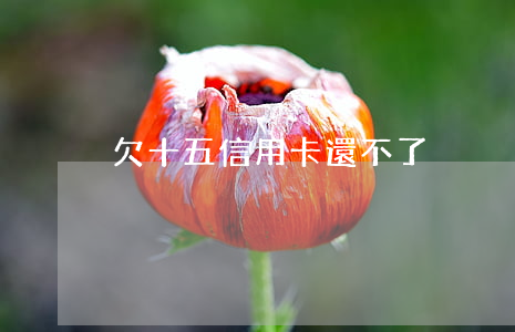 欠十五信用卡還不了