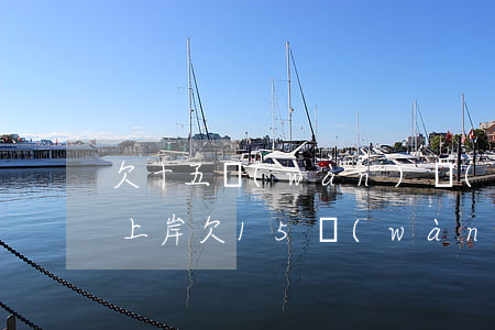 欠十五萬(wàn)網(wǎng)貸怎么上岸(欠15萬(wàn)網(wǎng)貸還能上岸嗎?)