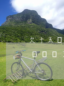欠十五萬網(wǎng)貸實(shí)在沒錢還了(網(wǎng)貸欠款15萬怎么辦)